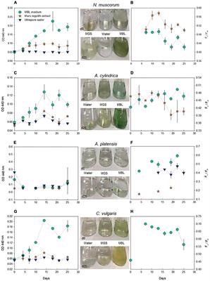 Cyanobacteria as Candidates to Support Mars Colonization: Growth and Biofertilization Potential Using Mars Regolith as a Resource